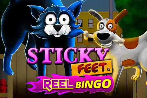 Sticky Feet + Reel Bingo 